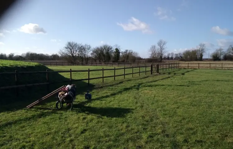 Timber Fences